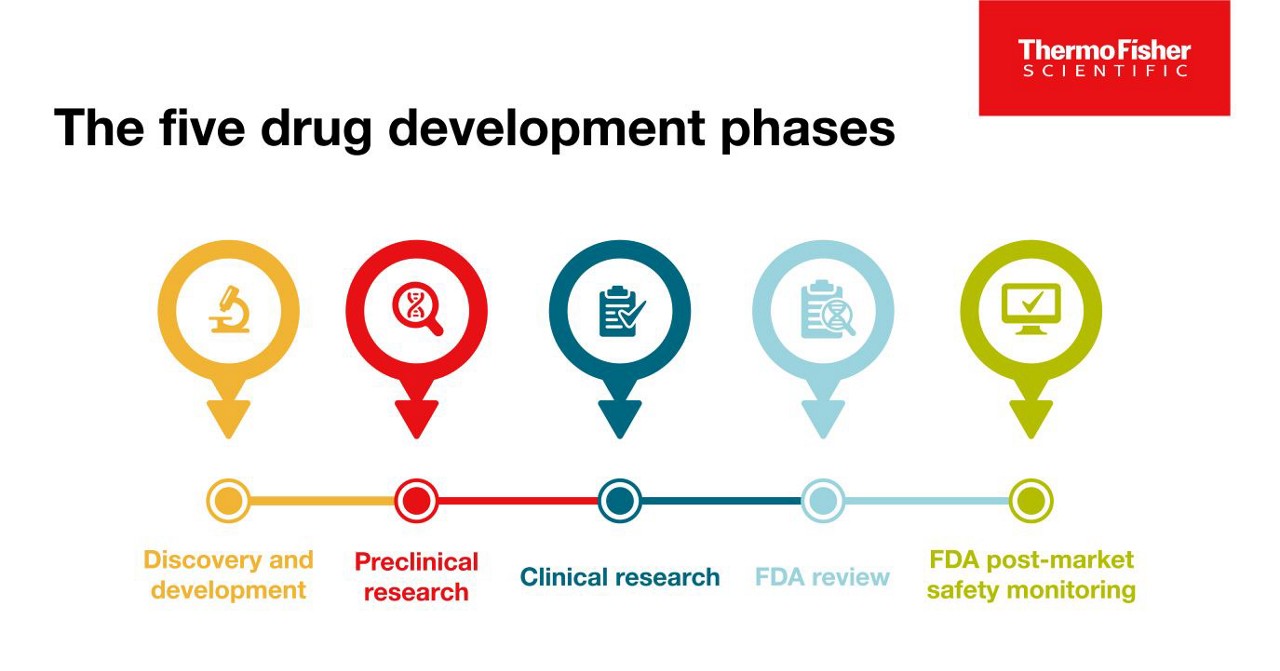 The five drug development phases: Discovery and development, Preclinical research, Clinical research, FDA review and FDA post-market safety monitoring