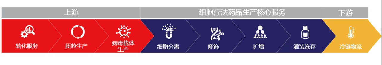 Thermo Fisher core Cell Therapy Manufacturing Services