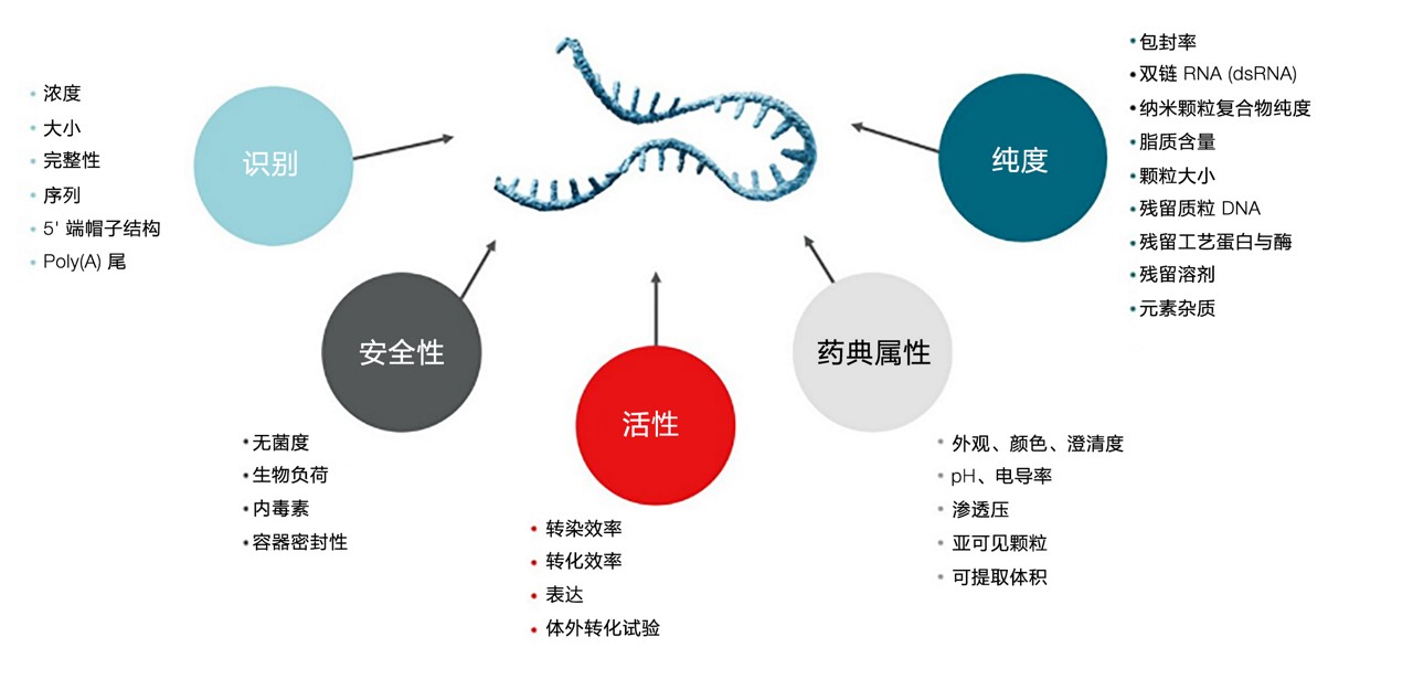 Analysis of mRNA critical quality attributes