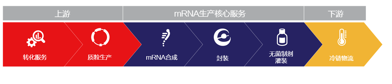 Thermo Fisher core mRNA Services
