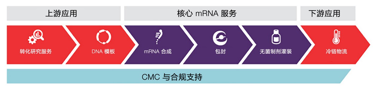 Thermo Fisher core mRNA Services