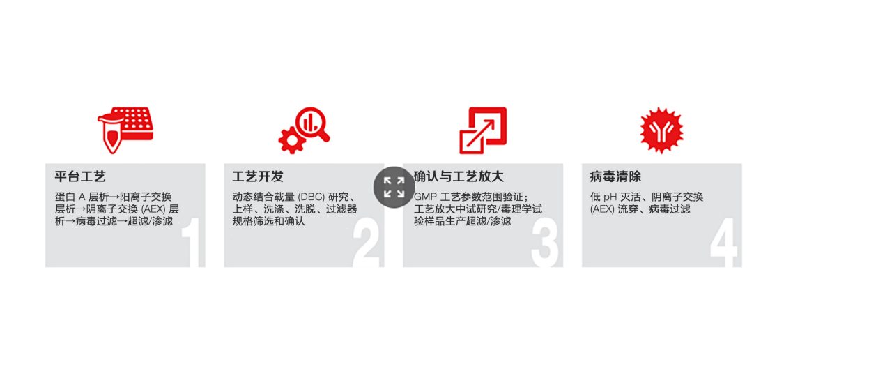 Thermo Fisher Scientific - Downstream Process Development for Biologics
