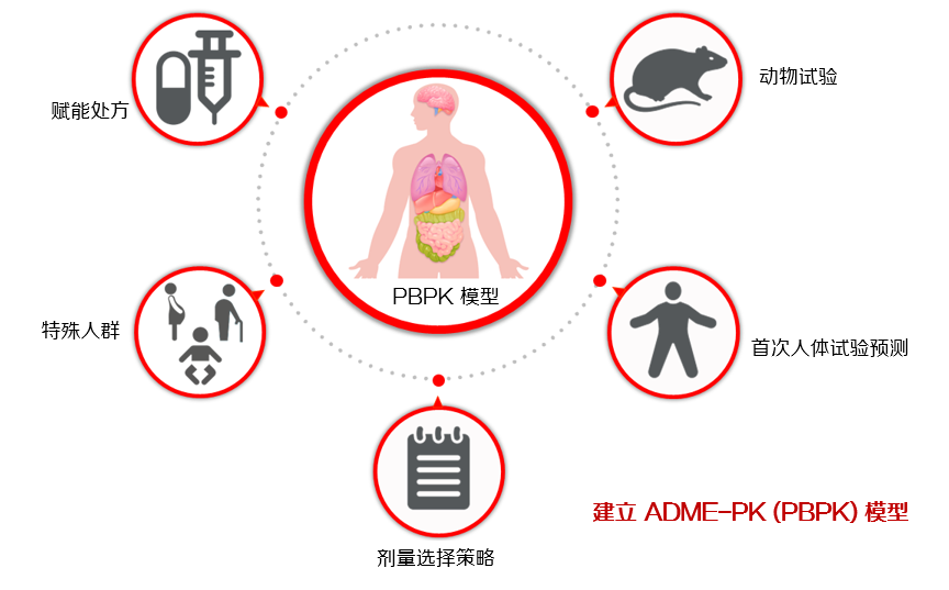 ADMI-PK (PBPK) Modeling