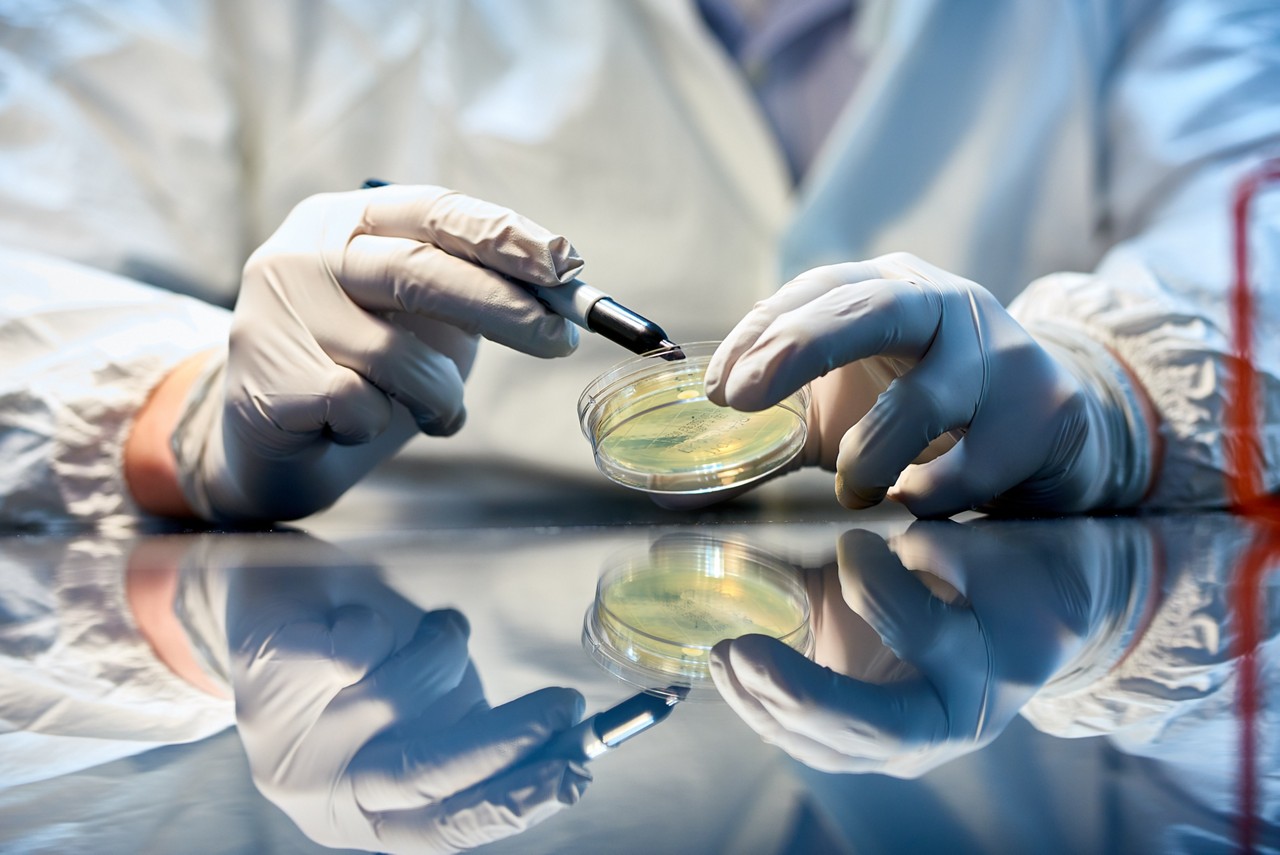 普莱恩维尔工厂的病毒载体生产和开发能力